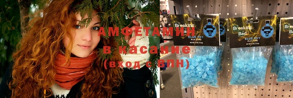 индика Армянск