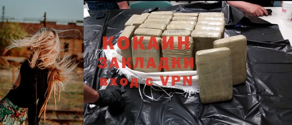 прущие грибы Балахна